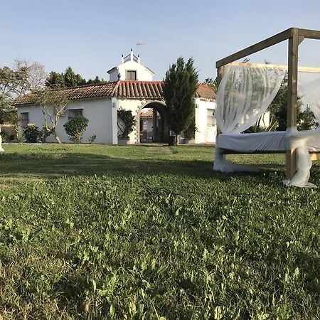Amarna Conil Pensionat Conil De La Frontera Eksteriør billede